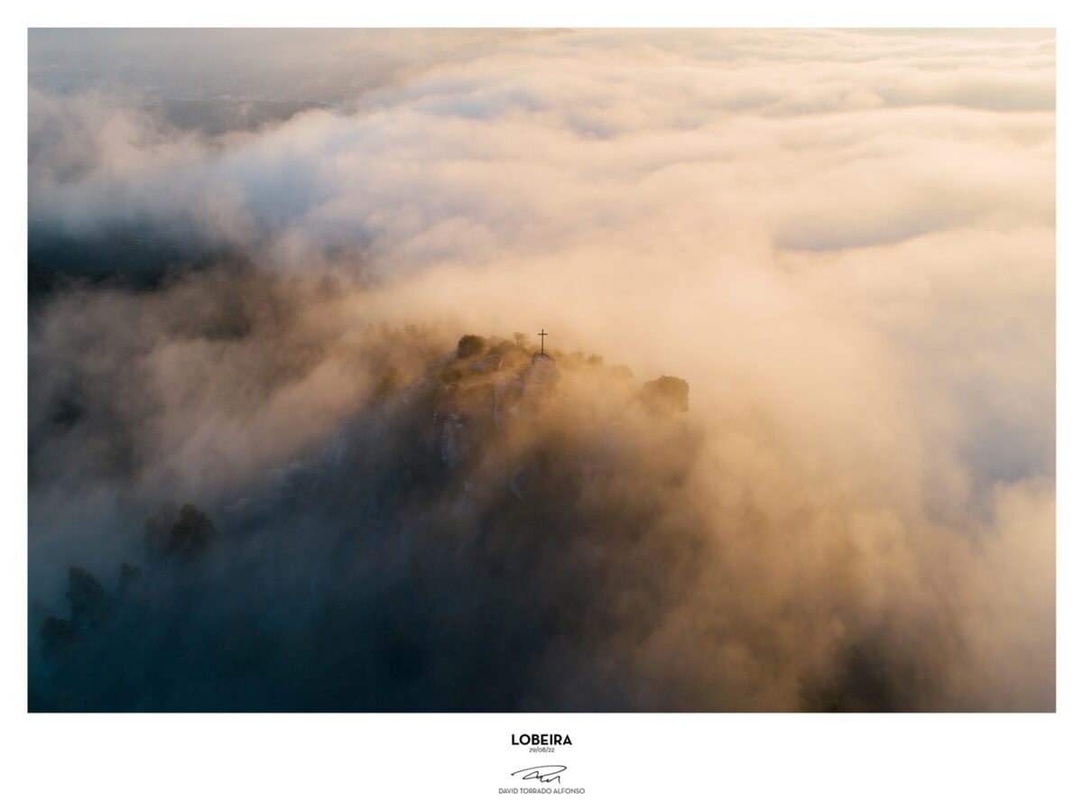 Fine Art - LOBEIRA